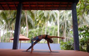 Yoga-at-Jasper
