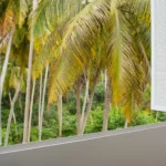 Palm trees seen from the balcony at Jasper House Hiriketiya